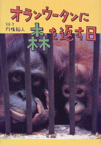オランウータンに森を返す日 (旺文社ジュニア・ノンフィクション) 川端 裕人