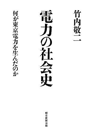 選書８９８ 電力の社会史 (朝日選書) 竹内敬二