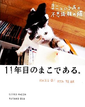 まこという名の不思議顔の猫 11年目のまこである。 [Feb 14， 2014] 前田 敬子
