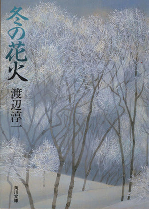 冬の花火 (角川文庫) 渡辺 淳一