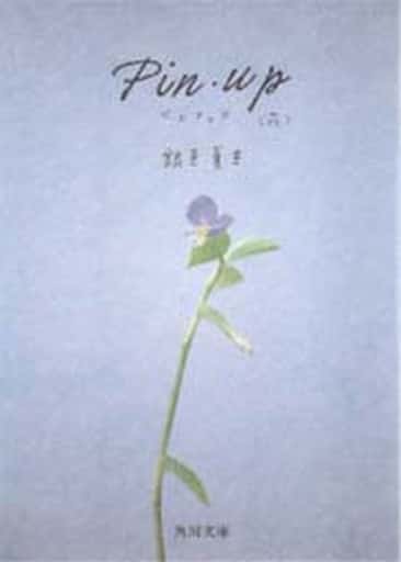 PIN UP花 (角川文庫 き 9ー14) [Jul 01， 1991] 銀色 夏生
