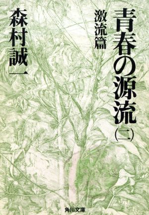 青春の源流 2 激流篇 (角川文庫 も 3-89) 森村 誠一