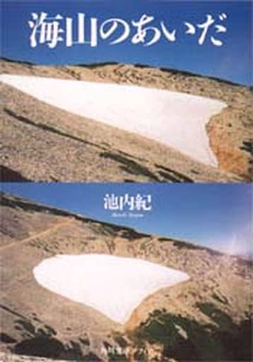 海山のあいだ (角川文庫ソフィア 233) 池内 紀