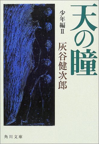天の瞳 少年編II (角川文庫) [Oct 24， 2001] 灰谷 健次郎; 角川書店装丁室