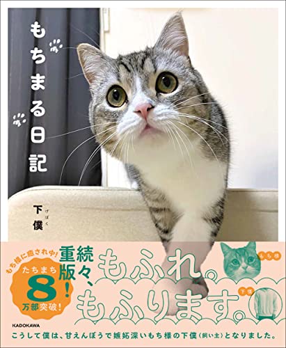 もちまる日記 下僕