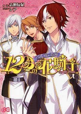 セント・ブルーム学園 12月の花騎士 Candy Pink (B's-LOG COMICS) （小説）志麻友紀; （漫画）シア