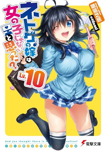 ネトゲの嫁は女の子じゃないと思った Lv.10 (電撃文庫) 聴猫 芝居; Hisasi