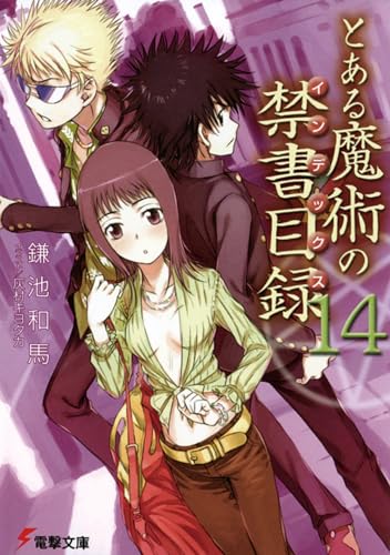 とある魔術の禁書目録(14) (電撃文庫) 鎌池 和馬; 灰村 キヨタカ