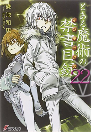 とある魔術の禁書目録(22) (電撃文庫) 鎌池 和馬; 灰村 キヨタカ