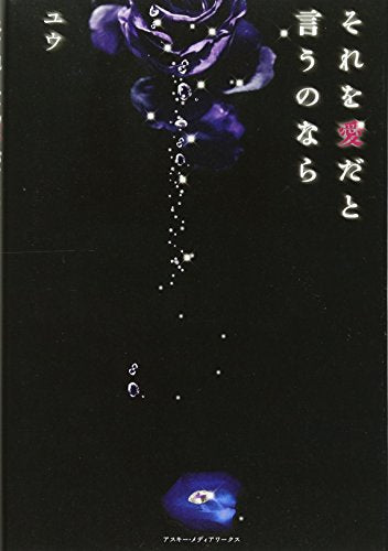 それを愛だと言うのなら [May 25， 2011] ユウ