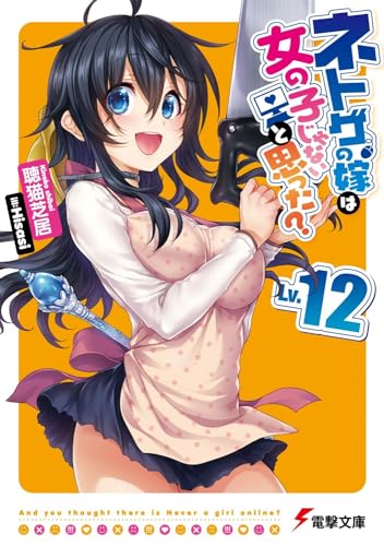 ネトゲの嫁は女の子じゃないと思った Lv.12 (電撃文庫) 聴猫 芝居; Hisasi