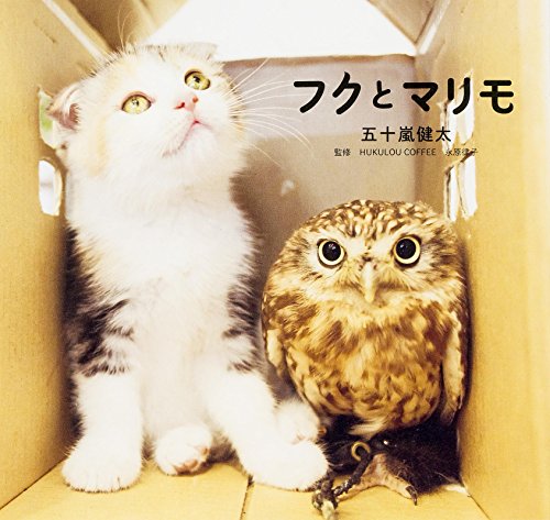 フクとマリモ [Sep 26， 2015] 五十嵐健太; HUKULOU COFFEE 永原律子