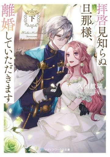 拝啓見知らぬ旦那様、離婚していただきます〈下〉 (メディアワークス文庫) 久川 航璃
