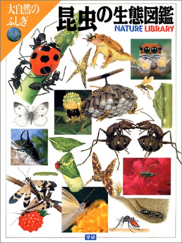 昆虫の生態図鑑