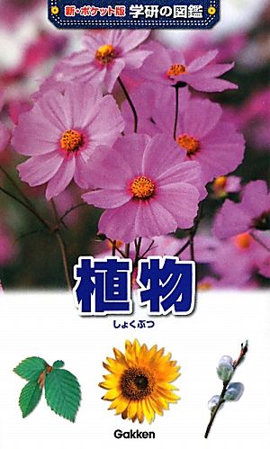 植物 (学研の図鑑 新・ポケット版 2) 高橋秀男