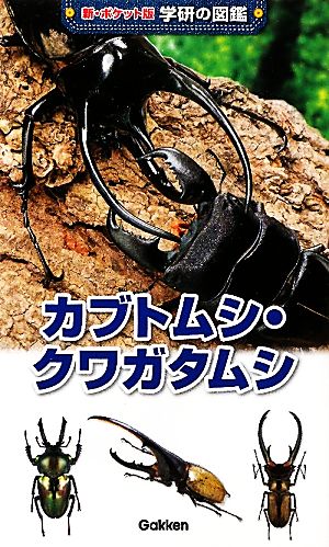 カブトムシ・クワガタムシ (新ポケット版学研の図鑑) 岡島秀治
