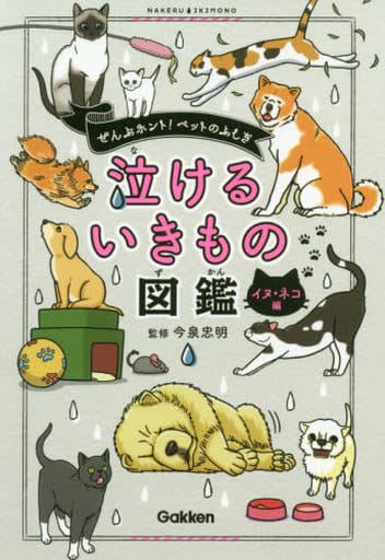 泣けるいきもの図鑑 イヌ・ネコ編 [Jul 16， 2019] 今泉忠明