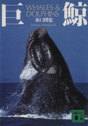 巨鯨: WHALES&DOLPHINS (講談社文庫 み 33-1) 水口 博也