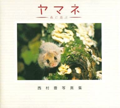 ヤマネ: 森に遊ぶ 西村豊写真集 西村 豊