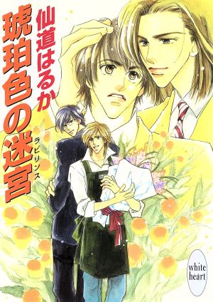 琥珀色の迷宮 (講談社X文庫 せB- 11 ホワイトハート) [Dec 01， 1998] 仙道 はるか; 沢路 きえ