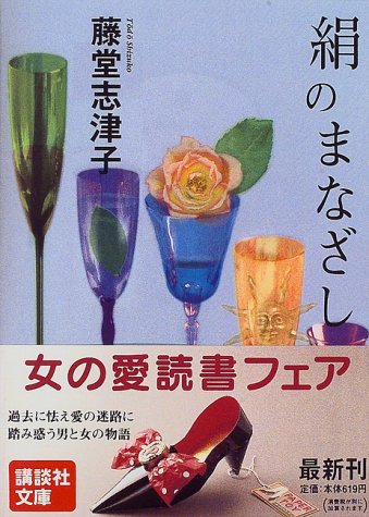 絹のまなざし (講談社文庫 と 27-9) [Apr 01， 1997] 藤堂 志津子