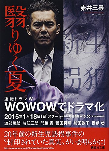 翳りゆく夏 (講談社文庫) [Aug 12， 2006] 赤井 三尋
