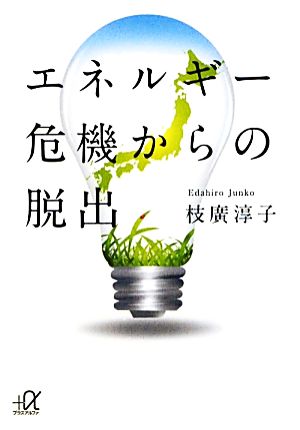 エネルギー危機からの脱出 (講談社+アルファ文庫 G 230-1) 枝廣 淳子