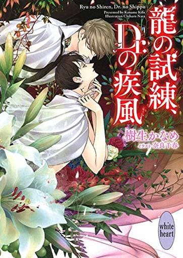 龍の試練、Dr.の疾風 樹生 かなめ; 奈良 千春