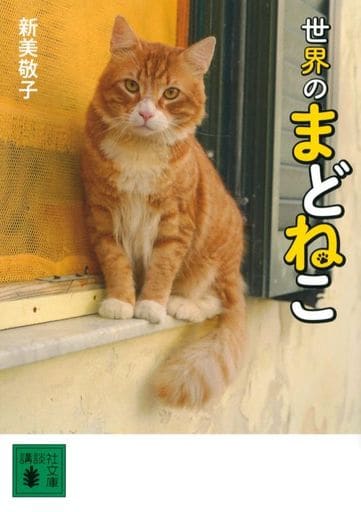 世界のまどねこ (講談社文庫) 新美 敬子