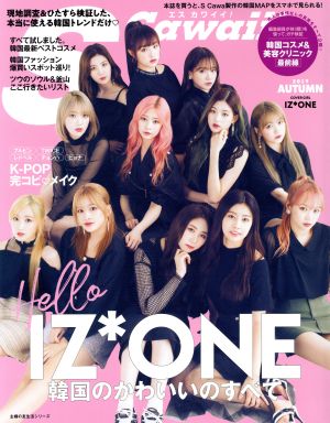 S Cawaii! 韓国のかわいいのすべて (主婦の友生活シリーズ) [Aug 06， 2019] 主婦の友社
