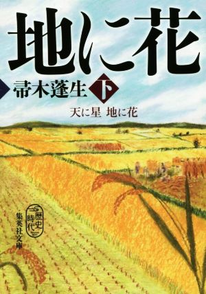 天に星 地に花 下 (集英社文庫) 帚木 蓬生