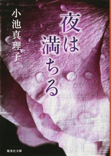 夜は満ちる (集英社文庫) 小池 真理子