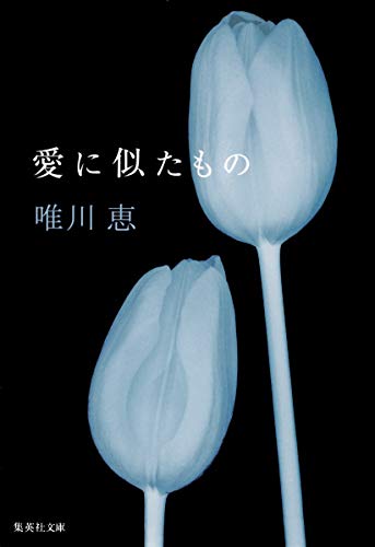 愛に似たもの (集英社文庫) [Oct 20， 2009] 唯川 恵