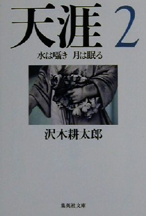 天涯 2 水は囁き 月は眠る (集英社文庫) 沢木 耕太郎