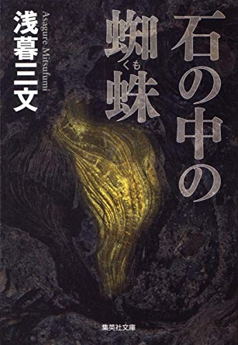 石の中の蜘蛛 (集英社文庫) 浅暮 三文