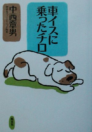 車イスに乗ったチロ [Jul 26， 2002] 中西 章男