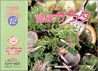 健康サラダ: か・ん・た・ん (小学館実用シリーズ カルチャーMOOK てきぱきCOOKING 12) [May 01， 1996]