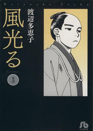 風光る〔小学館文庫〕 (3) (小学館文庫 わA 33) 渡辺 多恵子