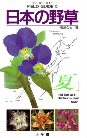 フィールド・ガイドシリーズ5 日本の野草 夏 (小学館のフィールド・ガイドシリーズ 5) [Jun 29， 1990] 菅原 久夫