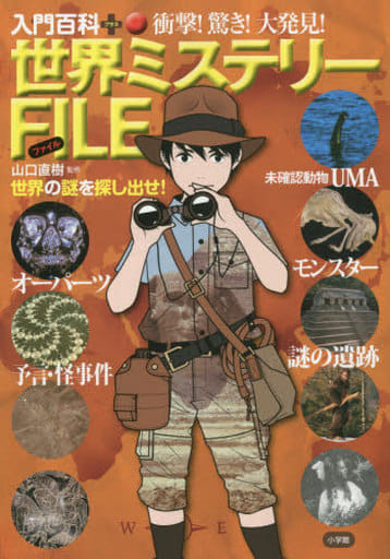 世界ミステリーFILE(ファイル): 衝撃!驚き!大発見! (入門百科+ 14) [Jul 30， 2014] 山口 直樹