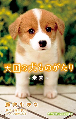 天国の犬ものがたり~未来~ (小学館ジュニア文庫 ほ 1-3) [Dec 24， 2014] 藤咲 あゆな 堀田 敦子; 環方 このみ