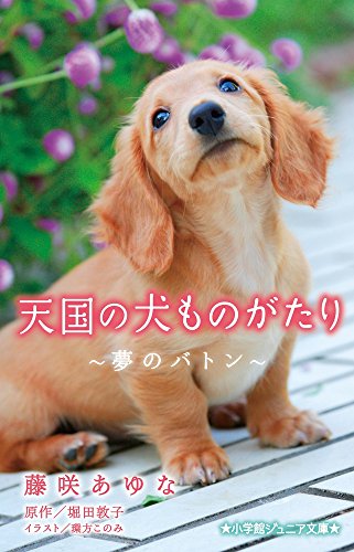 天国の犬ものがたり~夢のバトン~ (小学館ジュニア文庫 ほ 1-4) [Jan 27， 2016] 藤咲 あゆな 堀田 敦子; 環方 このみ
