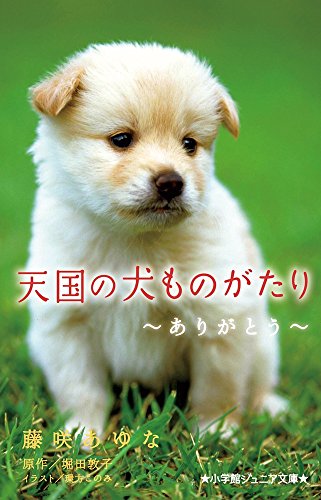 天国の犬ものがたり~ありがとう~ (小学館ジュニア文庫 ほ 1-5) [Nov 30， 2016] 藤咲 あゆな 堀田 敦子; 環方 このみ