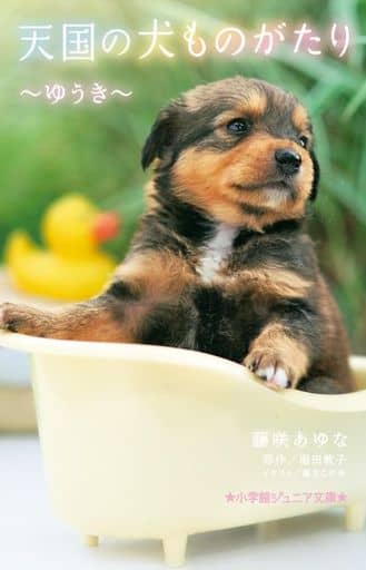 天国の犬ものがたり ~ゆうき~ (小学館ジュニア文庫 ジほ 1-16) 藤咲 あゆな 堀田 敦子; 環方 このみ