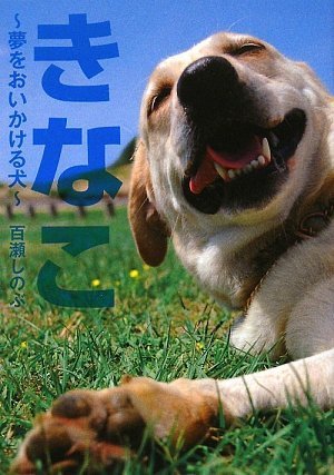 きなこ~夢をおいかける犬~ [Sep 01， 2009] 百瀬 しのぶ