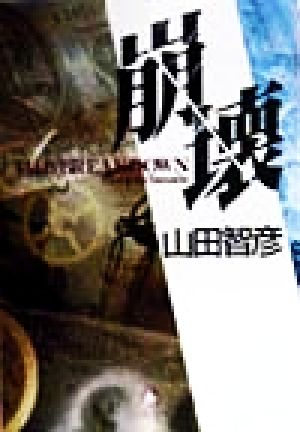 崩壊 (小学館文庫 R や- 3-2) 山田 智彦