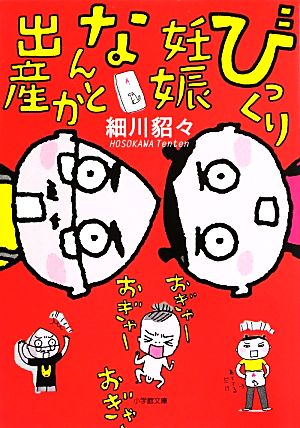 びっくり妊娠なんとか出産 (小学館文庫 ほ 5-1) 細川 貂々