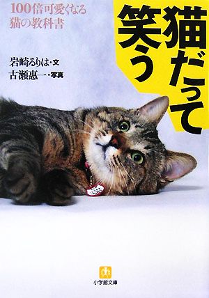 猫だって笑う: 100倍可愛くなる猫の教科書 (小学館文庫 Y い- 15-1) 岩崎 るりは; 古瀬 恵一
