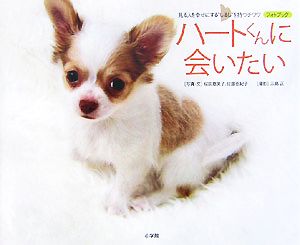 ハートくんに会いたい 見る人を幸せにする“しるし”を持つチワワ フォトブック 桜田 恵美子 佐藤 亜紀子; 三島 正