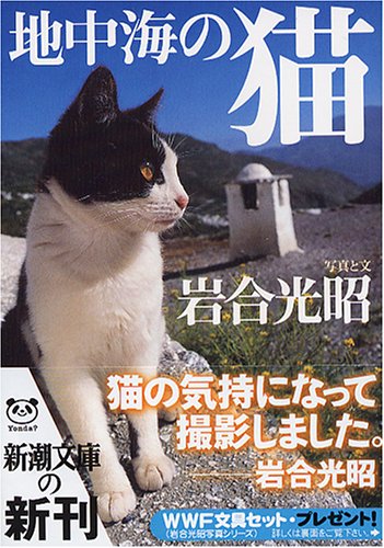 地中海の猫 (新潮文庫 い 38-7) 岩合 光昭